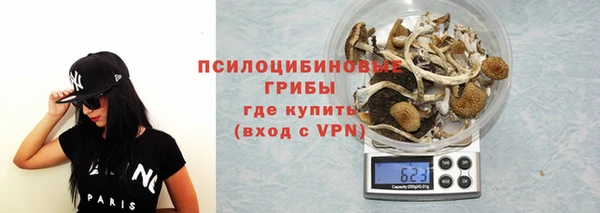 круглые Алзамай